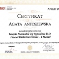 Powiększ obraz: certificate 14