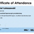 Powiększ obraz: certificate 9