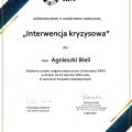 Powiększ obraz: certificate 2