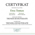 Powiększ obraz: certificate 5
