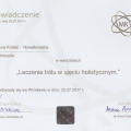 Powiększ obraz: certificate 6