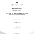 Powiększ obraz: certificate 3