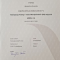 Powiększ obraz: certificate 19