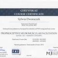 Powiększ obraz: certificate 14