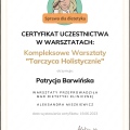 Powiększ obraz: certificate 7