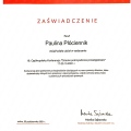 Powiększ obraz: certificate 1