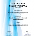 Powiększ obraz: certificate 44