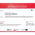 Powiększ obraz: certificate 26