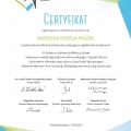 Powiększ obraz: certificate 41