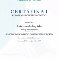 Powiększ obraz: certificate 8