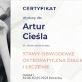 Powiększ obraz: certificate 10