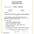 Powiększ obraz: certificate 4