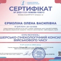 Powiększ obraz: certificate 1