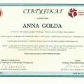 Powiększ obraz: certificate 1