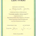 Powiększ obraz: certificate 31