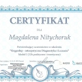 Powiększ obraz: certificate 3