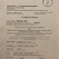 Powiększ obraz: certificate 3
