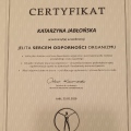 Powiększ obraz: certificate 11