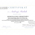 Powiększ obraz: certificate 4