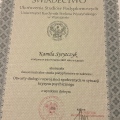 Powiększ obraz: certificate 2
