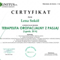 Powiększ obraz: certificate 2