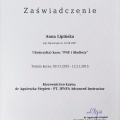 Powiększ obraz: certificate 3