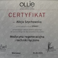 Powiększ obraz: certificate 6
