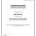 Powiększ obraz: certificate 2