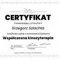 Powiększ obraz: certificate 25