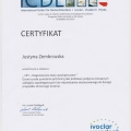 Powiększ obraz: certificate 1