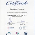 Powiększ obraz: certificate 17