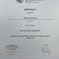 Powiększ obraz: certificate 1