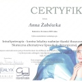 Powiększ obraz: certificate 16