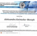 Powiększ obraz: certificate 3