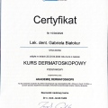Powiększ obraz: certificate 3
