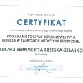 Powiększ obraz: certificate 11
