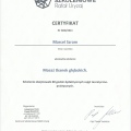 Powiększ obraz: certificate 2