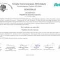 Powiększ obraz: certificate 2
