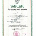 Powiększ obraz: certificate 1