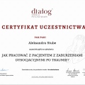 Powiększ obraz: certificate 8