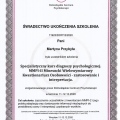Powiększ obraz: certificate 5