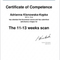 Powiększ obraz: certificate 2