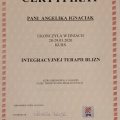 Powiększ obraz: certificate 4