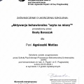 Powiększ obraz: certificate 12