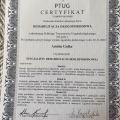 Powiększ obraz: certificate 7