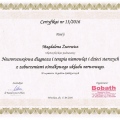 Powiększ obraz: certificate 10