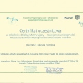 Powiększ obraz: certificate 2