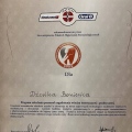 Powiększ obraz: certificate 2