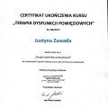 Powiększ obraz: certificate 2
