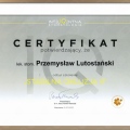 Powiększ obraz: certificate 19